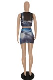 Blue Sexy Casual Print Patchwork O Neck Sleeveless Two Pieces