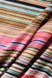 Colour Sexy Striped Print Patchwork Backless Slit Oblique Collar Long Dress Dresses