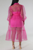 Rose Red Casual Solid Patchwork Buckle Turndown Collar Long Sleeve Two Pieces