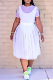 Blue Sexy Casual Solid See-through O Neck Short Sleeve Three-piece Set
