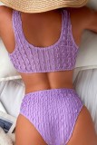 Purple Sexy Solid Backless Swimwears (With Paddings)