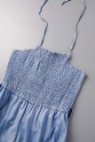 Blue Sexy Casual Solid Backless Halter Regular Jumpsuits