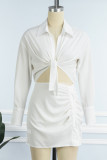 Light Blue Casual Solid Patchwork Turndown Collar Shirt Dress Dresses