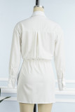 Light Blue Casual Solid Patchwork Turndown Collar Shirt Dress Dresses