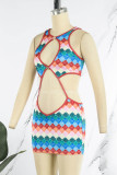 Colour Sexy Print Hollowed Out Patchwork Backless O Neck Pencil Skirt Dresses