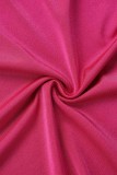 Rose Red Sexy Solid Backless Halter Long Dress Dresses