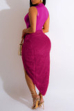 Silver Sexy Casual Solid Patchwork Slit Half A Turtleneck Sleeveless Dress Dresses