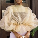 Pink Casual Solid See-through O Neck Tops