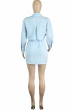 Light Blue Casual Print Hollowed Out Turndown Collar Shirt Dress Dresses