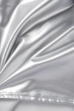 Silver Sexy Casual Solid Basic Turtleneck Tops