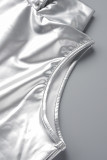 Silver Sexy Casual Solid Basic Turtleneck Tops