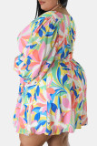 Multicolor Casual Print Patchwork V Neck Long Sleeve Plus Size Dresses