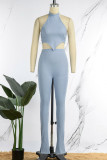 Pink Sexy Casual Solid Backless Half A Turtleneck Sleeveless Two Pieces