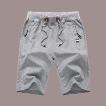 Light Gray Casual Solid Draw String Loose Wide Leg Solid Color Shorts
