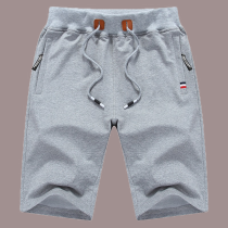 Light Gray Casual Solid Draw String Straight High Waist Wide Leg Solid Color Shorts