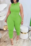 Pink Casual Solid Basic O Neck Plus Size Two Pieces