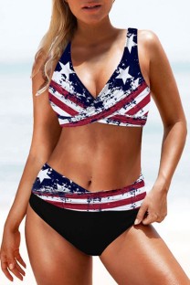 Multicolor Sexy Print Frenulum Backless Independence Day Swimwears (With Paddings)
