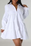 White Casual Solid Basic Turndown Collar Long Sleeve Two Pieces
