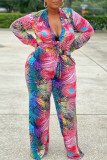 Colour Casual Work Street Print Patchwork Frenulum V Neck Long Sleeve Two Pieces