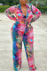 Colour Casual Work Street Print Patchwork Frenulum V Neck Long Sleeve Two Pieces