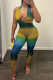 Yellow Sexy Casual Street Celebrities Color Lump Patchwork Frenulum Halter Skinny Jumpsuits