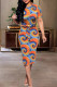 Colour Casual Print Basic O Neck Short Sleeve Dress