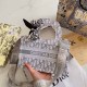 Light Gray Street Celebrities Letter Patchwork Bags
