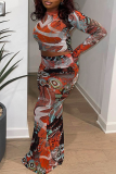 Colour Vintage Print Patchwork Mesh O Neck Long Sleeve Two Pieces