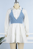 White Casual Solid Basic Turndown Collar Long Sleeve Two Pieces