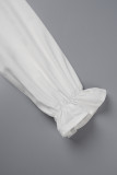 White Casual Solid Basic Turndown Collar Long Sleeve Two Pieces