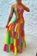 Colour Sexy Casual Print Patchwork Backless Spaghetti Strap Long Dress Dresses