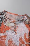 Colour Vintage Print Patchwork Mesh O Neck Long Sleeve Two Pieces