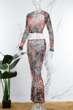 Colour Vintage Print Patchwork Mesh O Neck Long Sleeve Two Pieces
