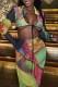 Multicolor Sexy Casual Print Frenulum V Neck Long Sleeve Two Pieces