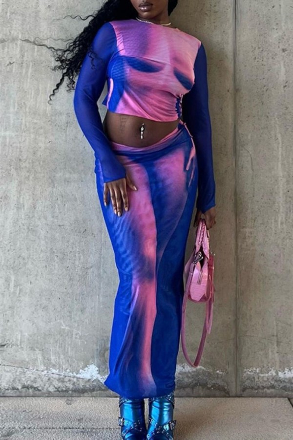 Powder Blue Sexy Casual Print See-through O Neck Long Sleeve Two Pieces
