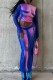 Powder Blue Sexy Casual Print See-through O Neck Long Sleeve Two Pieces