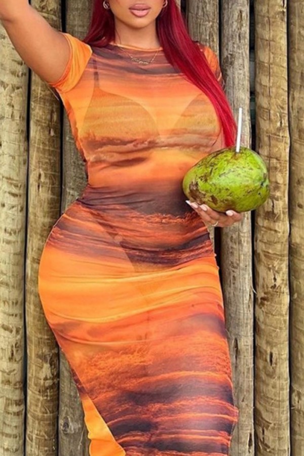 Orange Sexy Print See-through Slit O Neck Short Sleeve Dress