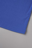 Blue Casual Solid Basic Turtleneck Long Dress Dresses