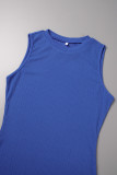 Blue Casual Solid Basic Turtleneck Long Dress Dresses