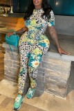 White Casual Print Basic O Neck Long Sleeve Two Pieces