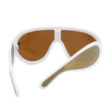 Yellow Casual Daily Solid Patchwork Sunglasses