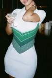 Green Casual Patchwork Contrast Turndown Collar Short Sleeve Dress