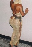 Silver Sexy Solid Hollowed Out Backless Hooded Collar Sleeveless Two Pieces
