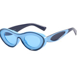 Blue Casual Daily Solid Patchwork Sunglasses