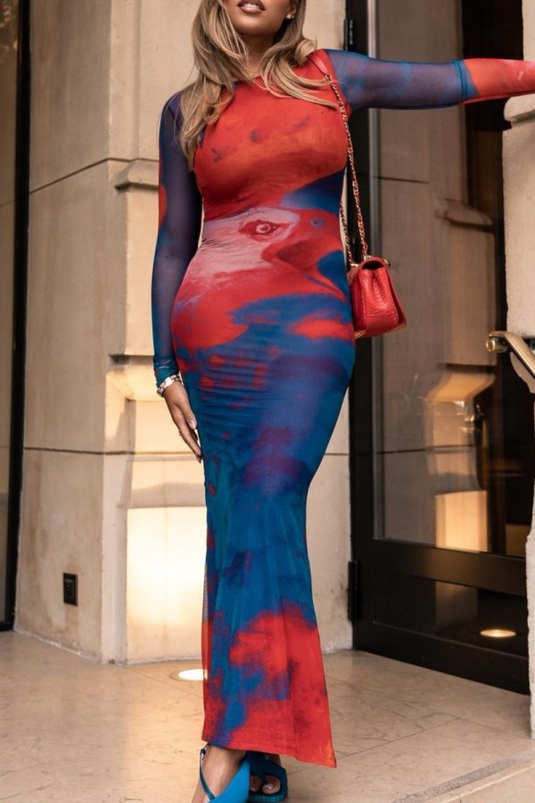 Red Blue Casual Print Basic O Neck Long Sleeve Dresses