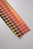 Colour Street Print Patchwork Mesh Turtleneck Long Sleeve Two Pieces