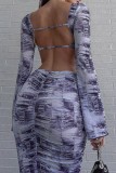 Blue Casual Print Basic O Neck Long Sleeve Two Pieces