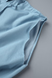 Light Blue Casual Solid Basic O Neck Sleeveless Dress Dresses