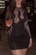 Black Sexy Solid Patchwork See-through O Neck Long Sleeve Dresses