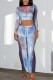 Blue Casual Print Basic O Neck Long Sleeve Two Pieces